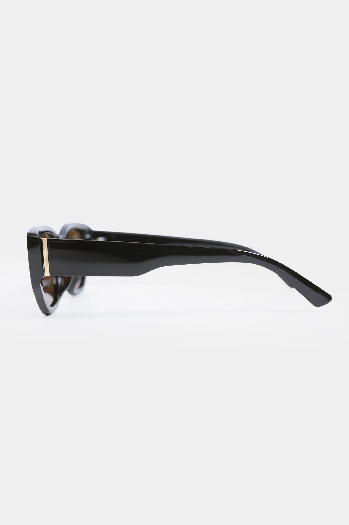 Retro-Inspired Sunglasses - Cougar Clothing