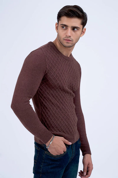 Brown Textured Knitted Jacquard Sweater