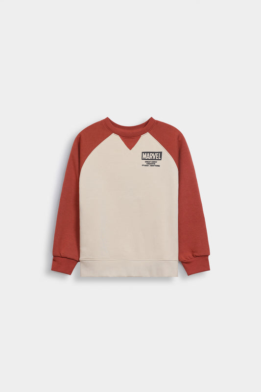 Contrast Raglan Sweatshirt - Cougar Clothing