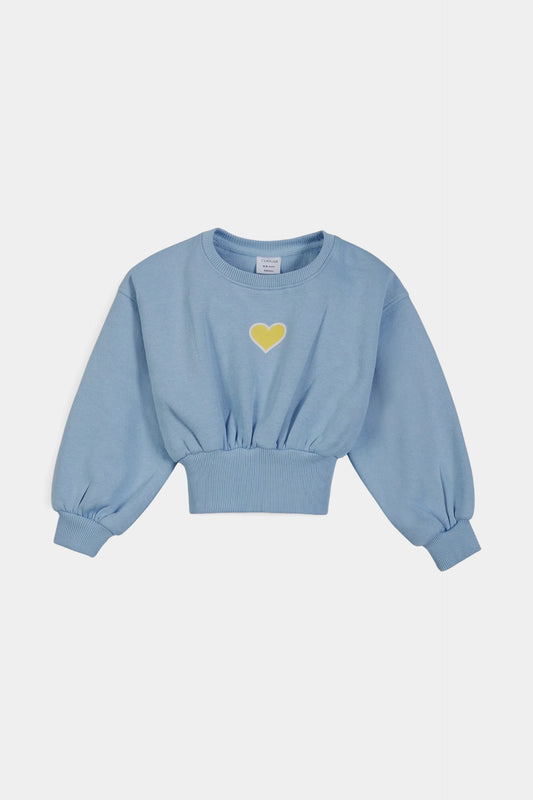 Ribbed Hem Graphic Sweatshirt - Cougar Clothing