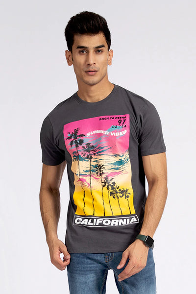 Grey Graphic T-Shirt