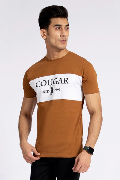 Brown Color Block T-Shirt