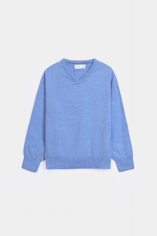 Basic Sweater - Cougar Clothing