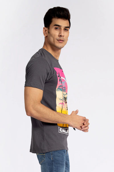 Grey Graphic T-Shirt