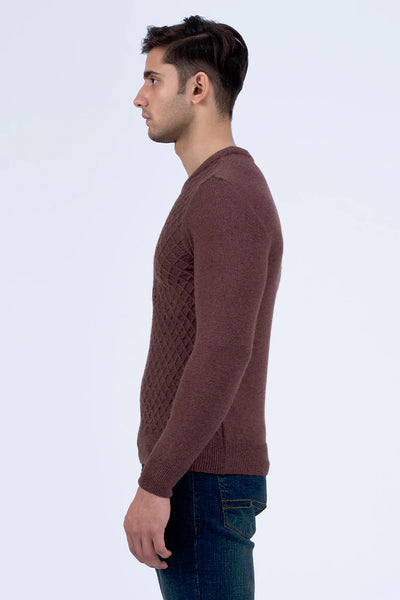 Brown Textured Knitted Jacquard Sweater