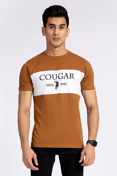 Brown Color Block T-Shirt