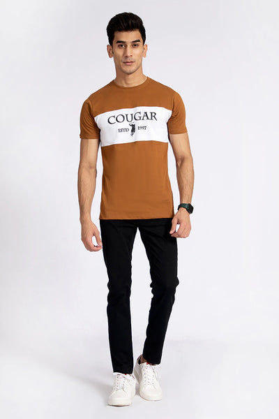 Brown Color Block T-Shirt