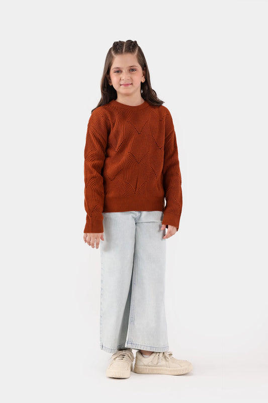 Crochet Knit Sweater - Cougar Clothing