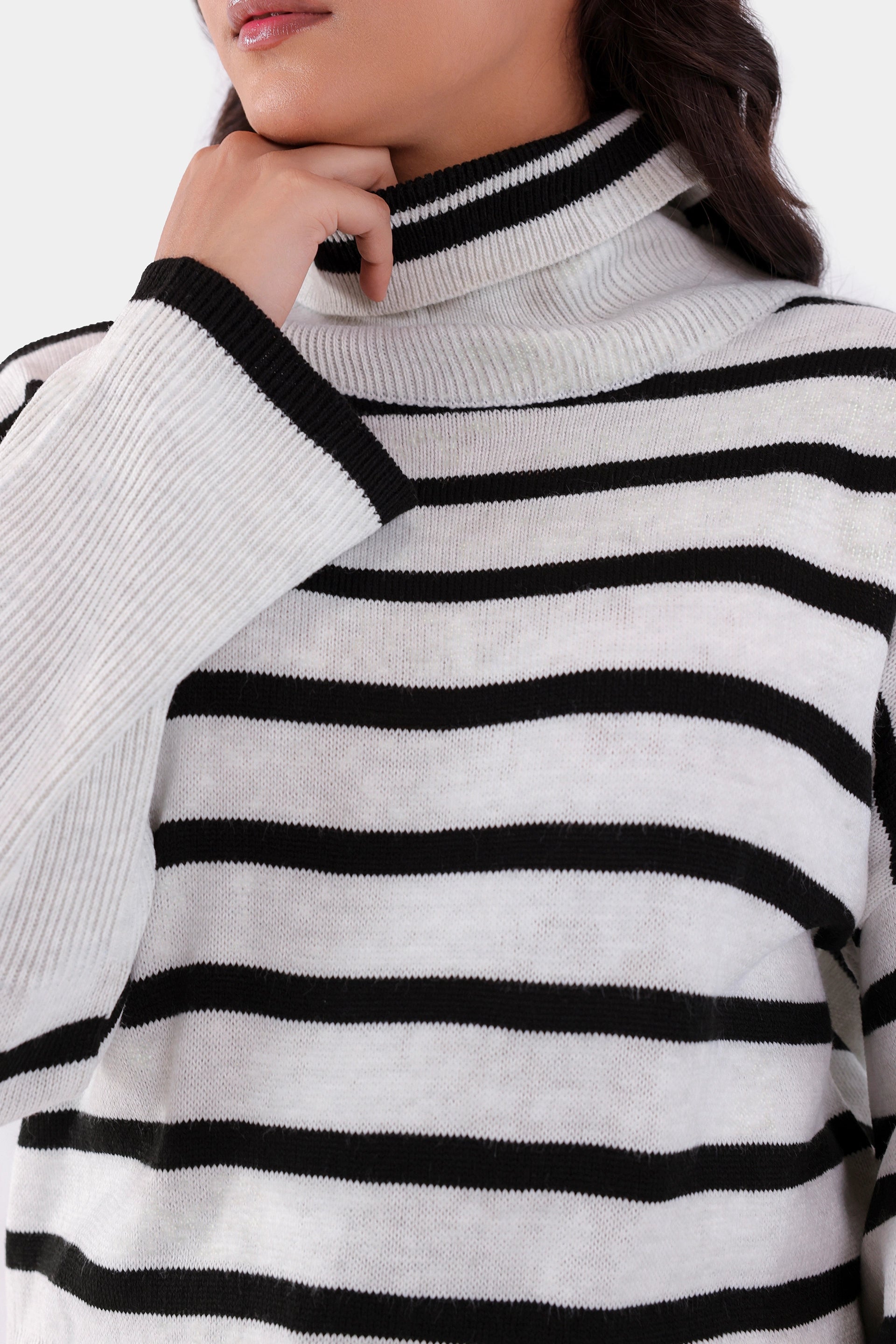 Roll Neck Striped Sweater