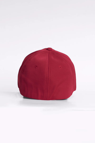 NY Yankees Red Cap