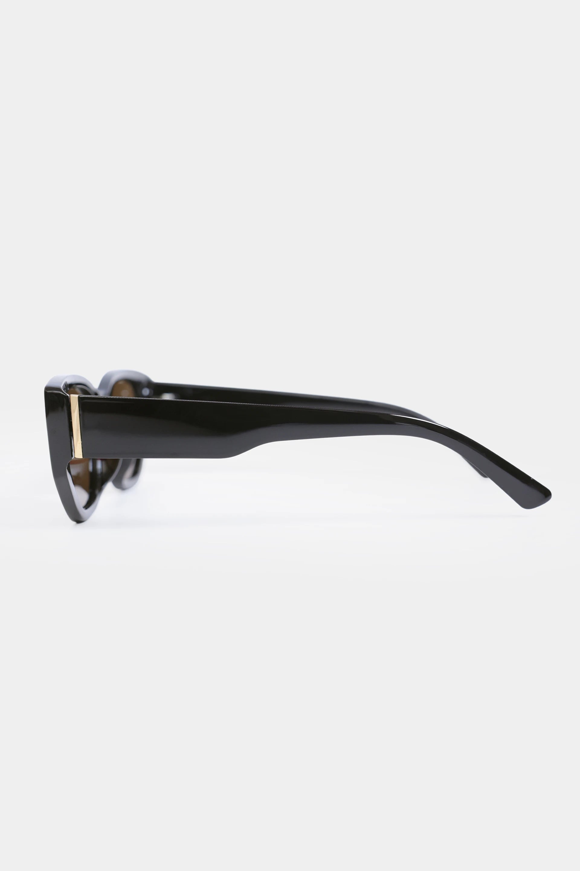 Retro-Inspired Sunglasses - Cougar Clothing