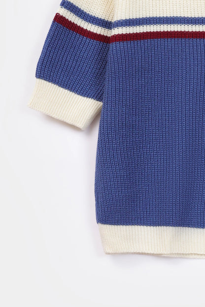 Johnny Collar Color Block Sweater - Cougar Clothing