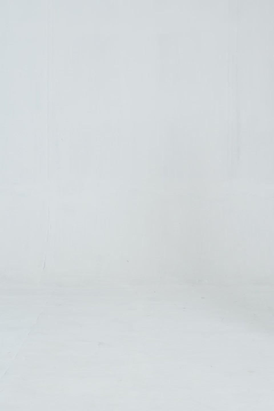 Top With Flounce Sleeves - Cougar Clothing