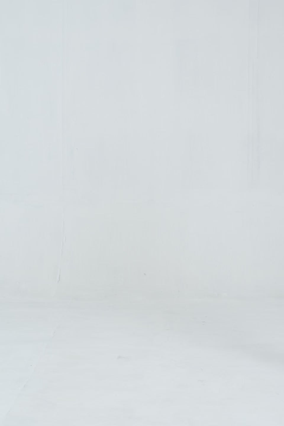 Champs Elysees Pullover Hoodie - Cougar Clothing