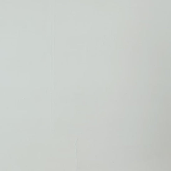 Trucker Denim Jacket - Cougar Clothing