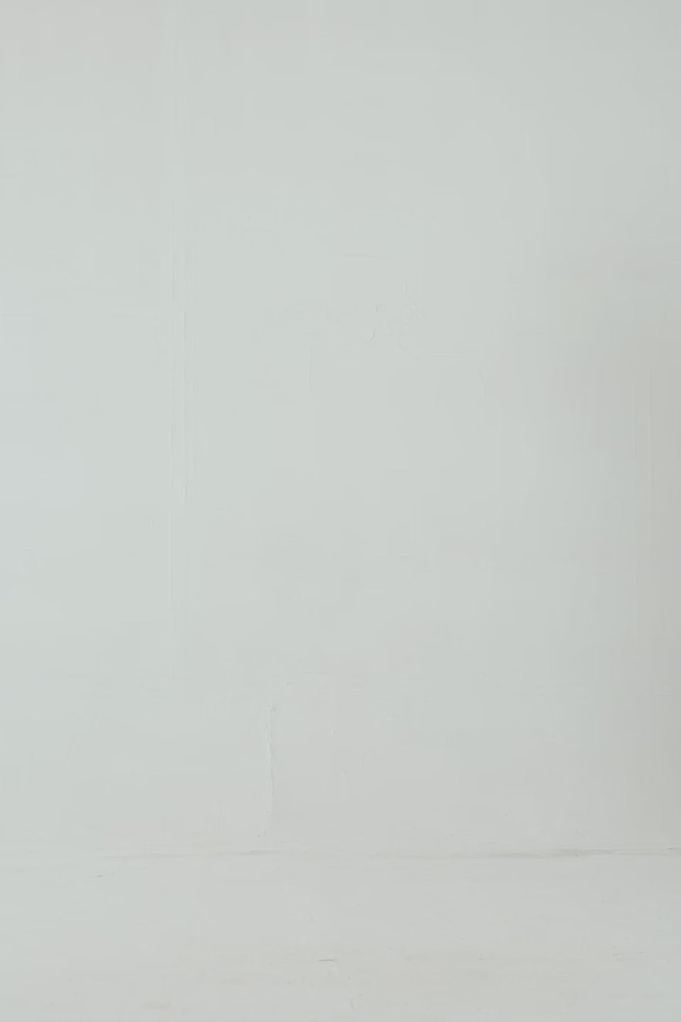 Basic Fleece Sweatshirt - Cougar Clothing