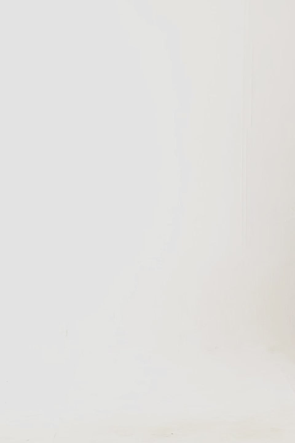 Embroidered Vibe Pullover Hoodie - Cougar Clothing