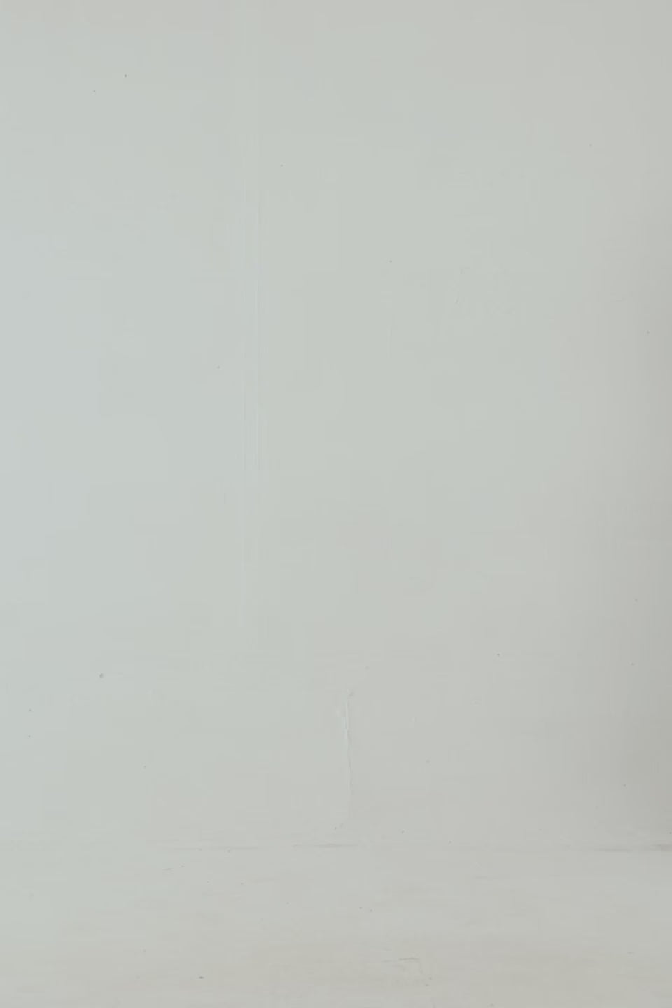 Cropped Text Print Sweatshirt - Cougar Clothing