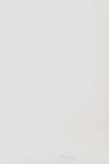 Color Block Sweater - Cougar Clothing