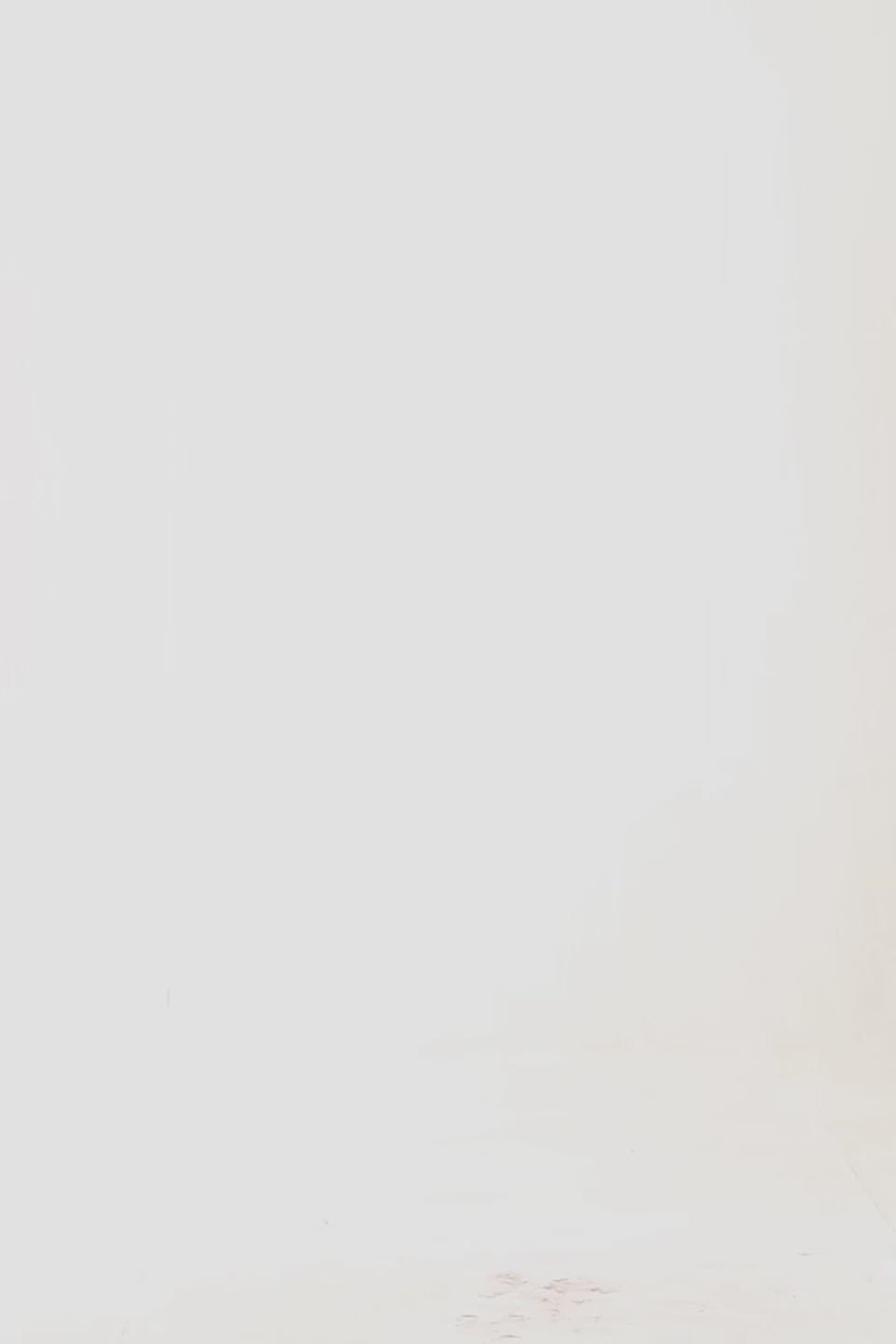 Color Block Sweater - Cougar Clothing